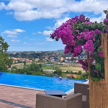 Villa Vikendica-villa Belvedere *