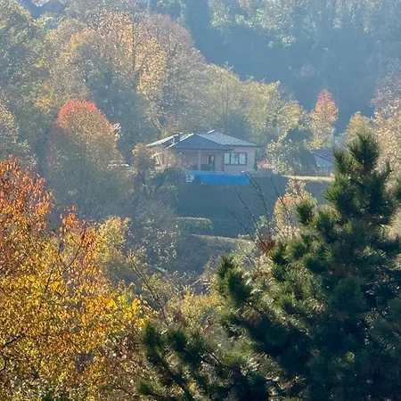 Villa Vikendica-villa Belvedere